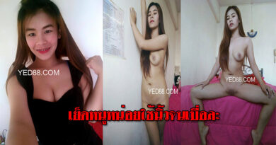 คลิปหลุดคอลเสียวงานส่วนตัวกับสาวเหนือ